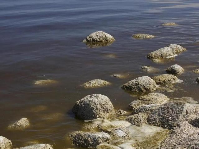 cod是什么污染物，cod測定儀如何使用？