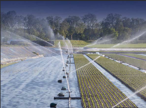 氨氮：水中的“雙刃劍”，你了解多少？