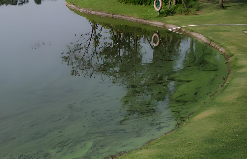 水質(zhì)砷超標(biāo)的危害有哪些？